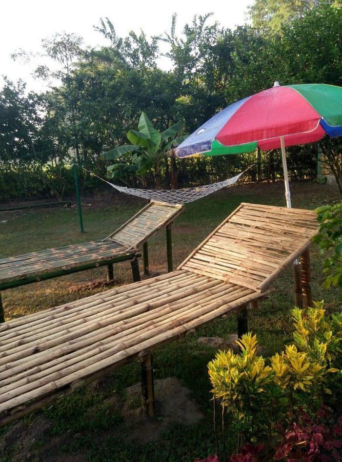 The Mystic Forest - A Tea Garden Resort At Dooars Madari Hat Esterno foto