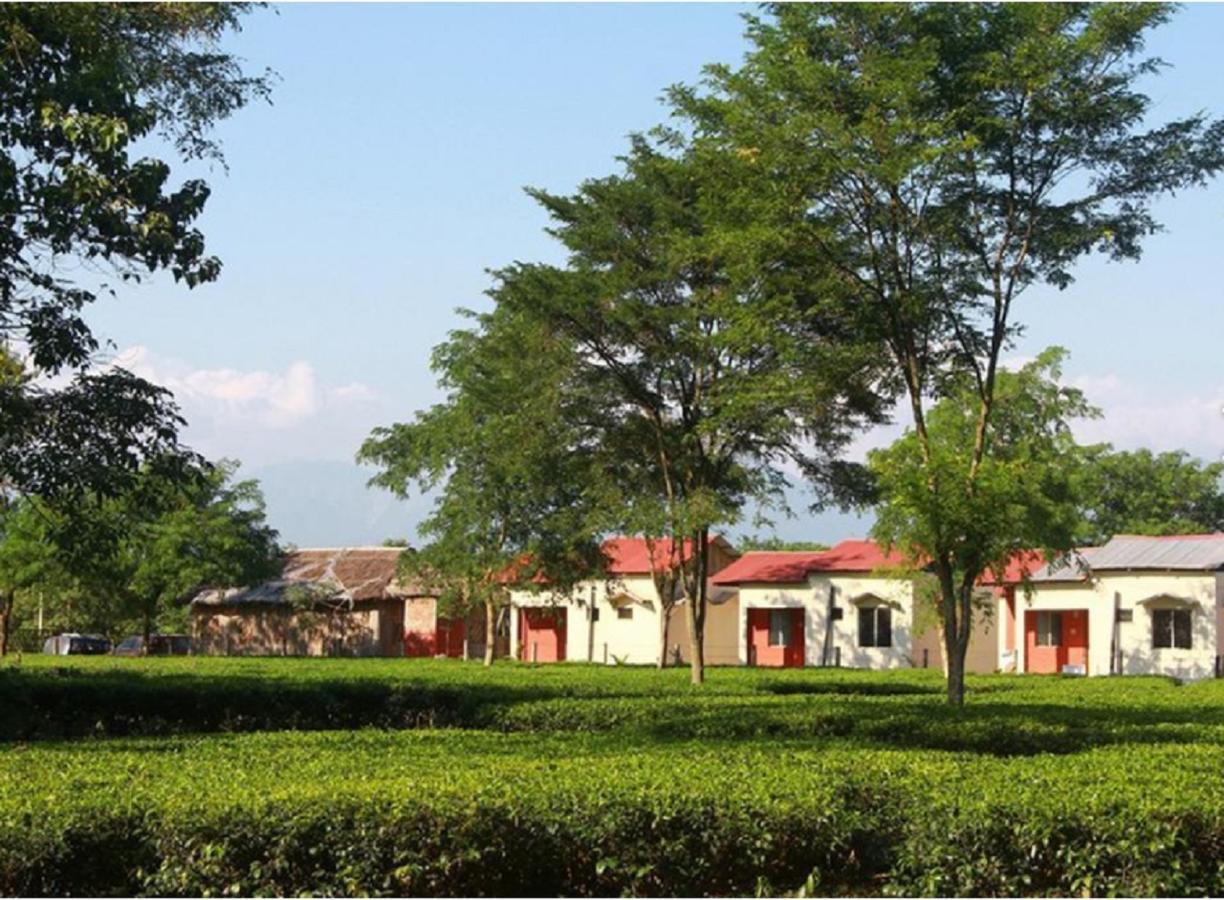 The Mystic Forest - A Tea Garden Resort At Dooars Madari Hat Esterno foto