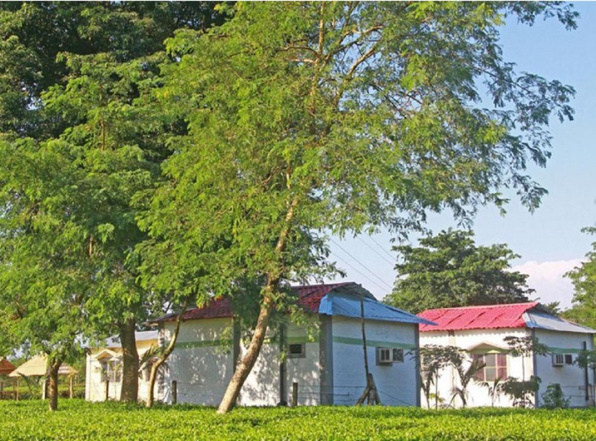 The Mystic Forest - A Tea Garden Resort At Dooars Madari Hat Esterno foto