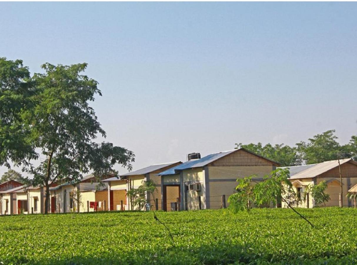 The Mystic Forest - A Tea Garden Resort At Dooars Madari Hat Esterno foto